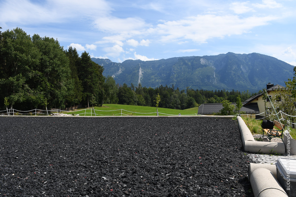 Kuglstatter Pferdehof Aussiehof Walserberg Salzburg